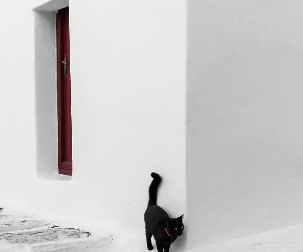 מלון Mykonos Gem Mykonos Town