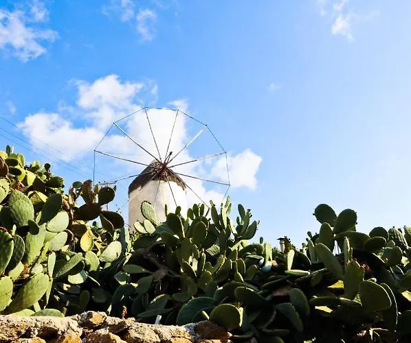 מלון Mykonos Gem Mykonos Town